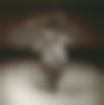 Selected night desert images (preview)