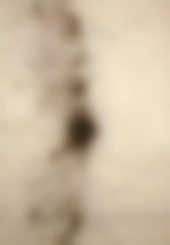 Sketch for Project for Extraterrestrial no.9, Fetus Movement (preview)