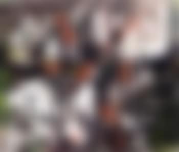 Demontee (preview)