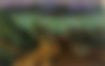 Paysage (preview)