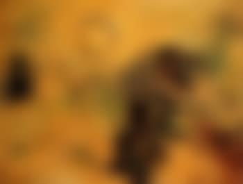 Scarecrow and sun (preview)