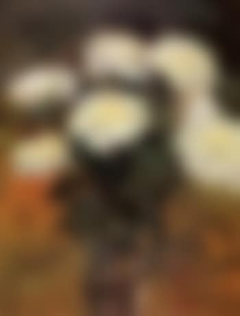 White chrysanthemums (preview)