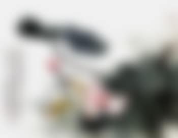 Lotus (preview)