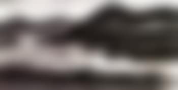 Geese flying over reeds (preview)