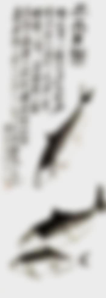 Three fishes (preview)