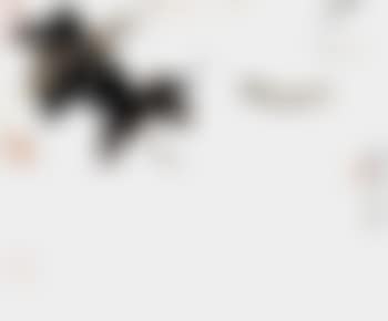 Flowers (preview)