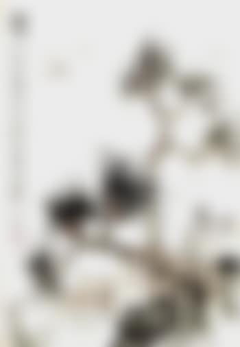 River landscape (preview)