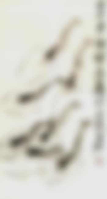 Shrimps (preview)