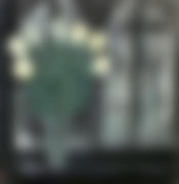 Yellow roses (preview)