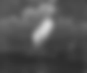 Sailing boats (preview)