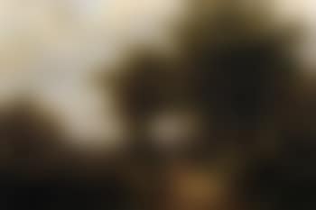 Blick ins Rheintal (preview)