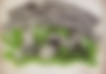 Green sliding. Boxers (preview)