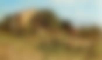 La ferme (preview)