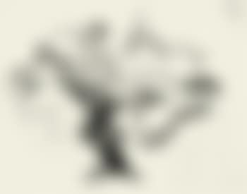 Jungfrau im Baum - Female nude in a tree (preview)