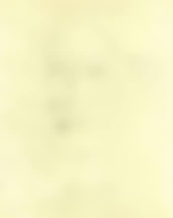 Two forms. Head of a woman (preview)