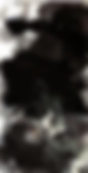 Lotus (preview)