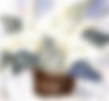 Flowers (preview)