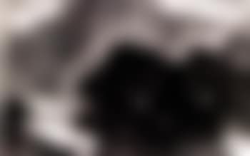 Landscape (preview)