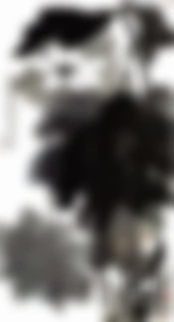 Lotus (preview)