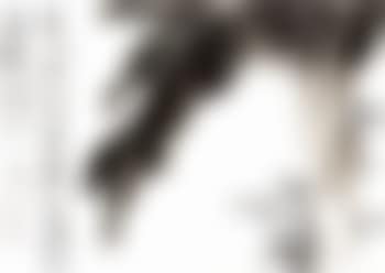 Plantian tree (preview)