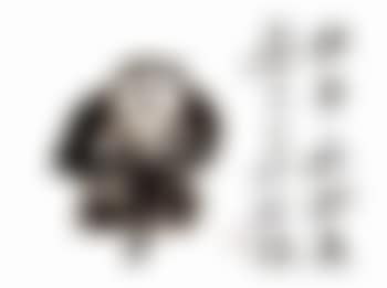 Ape (preview)