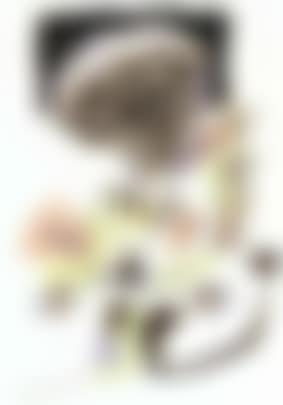 Perroquet (preview)
