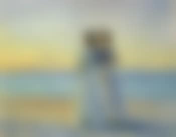 Marie Dinesen and Anna Bitch at Skagen Nordstrand (preview)