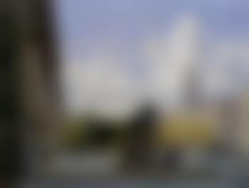 Elegant young lady by the Glyptoteket (preview)
