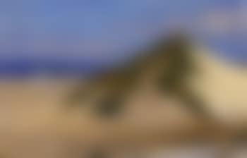 Dune landscape, Skagen (preview)