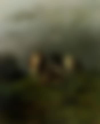 Cows in meadow, storm approaching (preview)