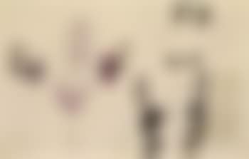 Figure composition (preview)