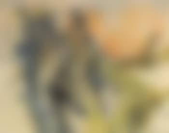 Allegresse (preview)