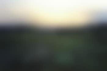 Landscape (preview)