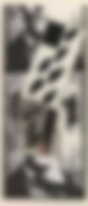 Rimbeaud birds (preview)