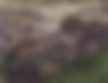 Mountain landscape, Chamonix Valley (preview)