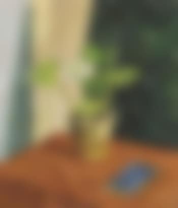 Still life of begonia and book on table (preview)