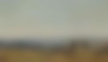 View of a Danish village in summer (preview)