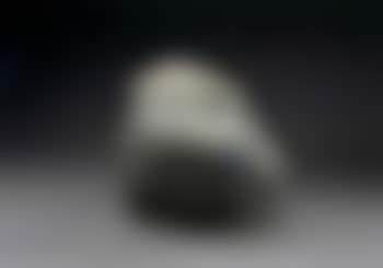 Stone fish (preview)