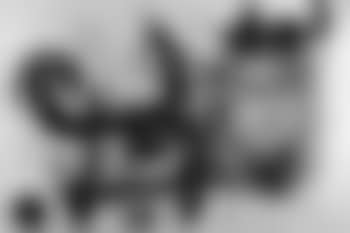Le cheval ivre (preview)