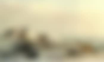 Chiens de chasse poursuivant un lievre (preview)