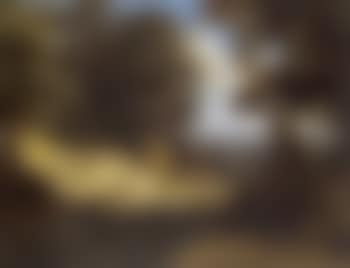 Large wooded landscape with figures (preview)