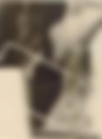 Rayograph - nude with vapour (preview)