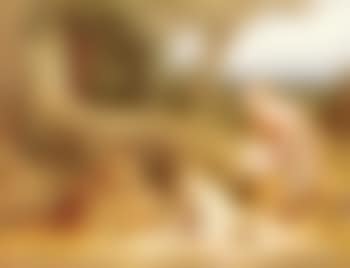 Young brood (preview)