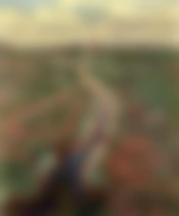 Early spring landscape with ditch (preview)