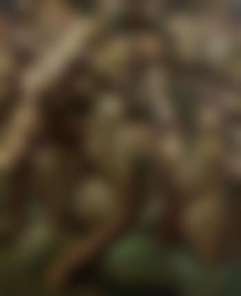 Garden in bloom (preview)