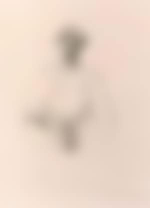 The soldier (preview)