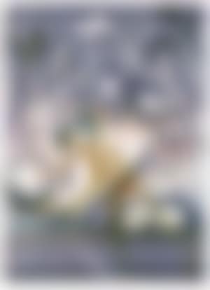 Shoalhaven - wanderer (preview)