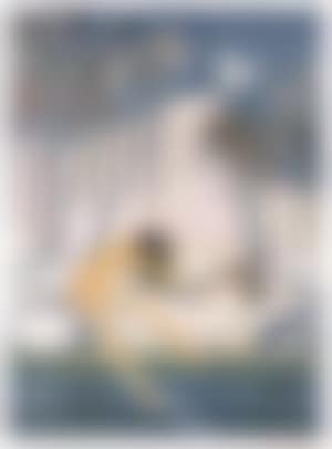 Shoalhaven - bather (preview)