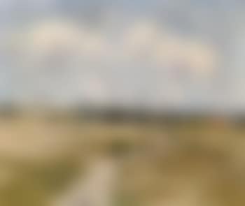 Rosebud landscape (preview)