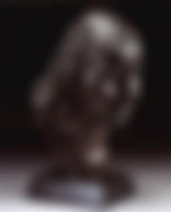 Rose (preview)